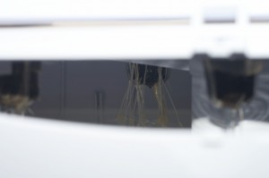 IMG_0651