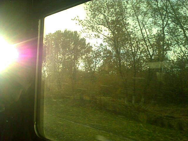 20101015_172438.jpg