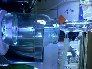 20101031_125401.jpg