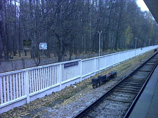 20101103_132315.jpg